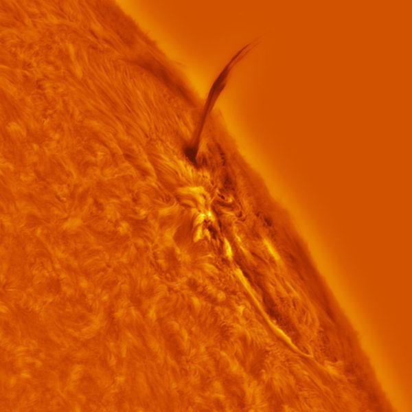 22 太阳组© Stuart Green