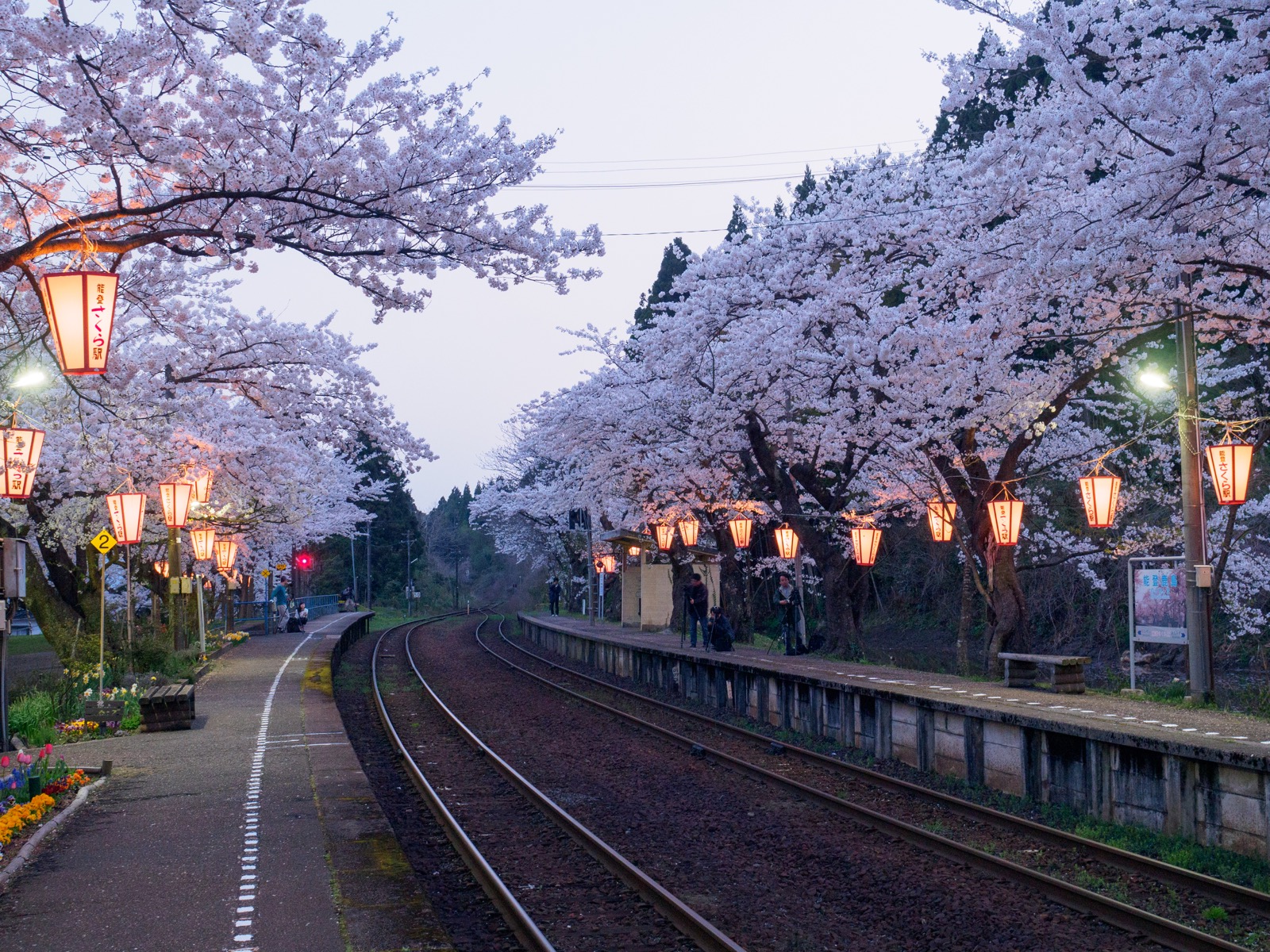 noto-kashima_28