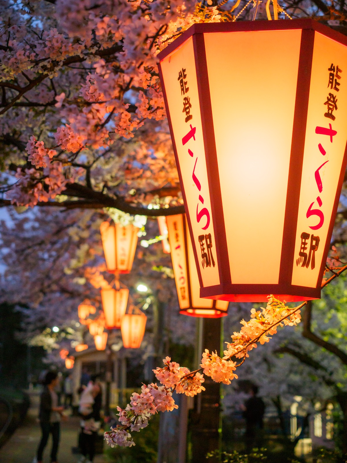 noto-kashima_30