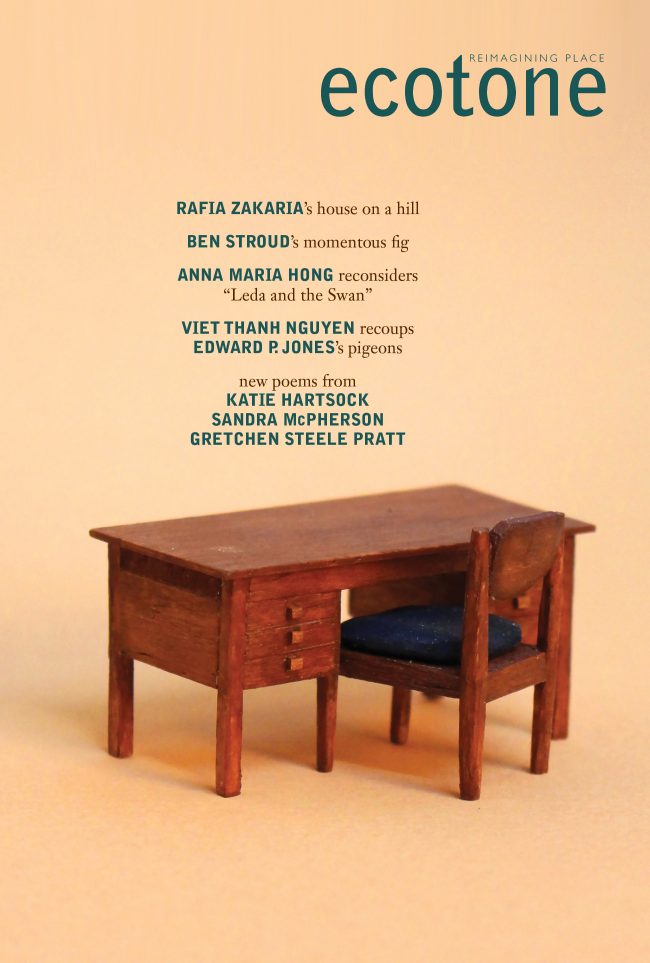 Ecotone-25_Cover-650×963