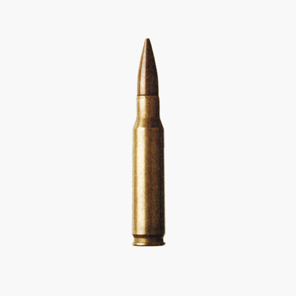 bullet_01