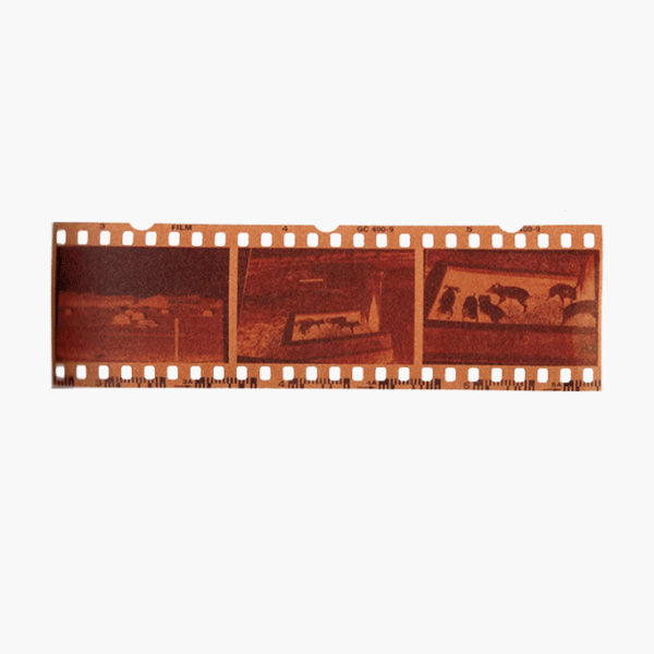 film_01