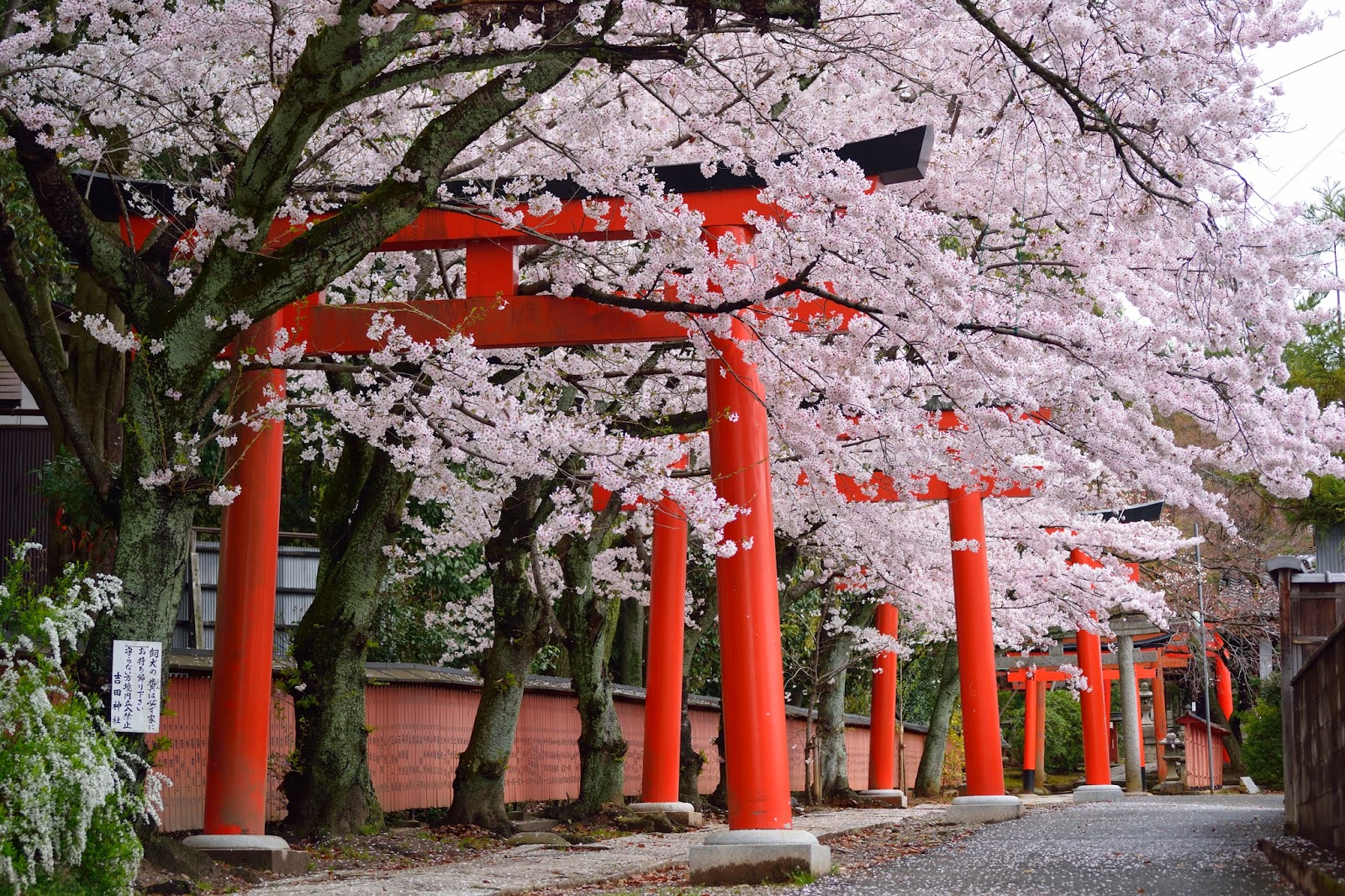 竹中稲荷神社