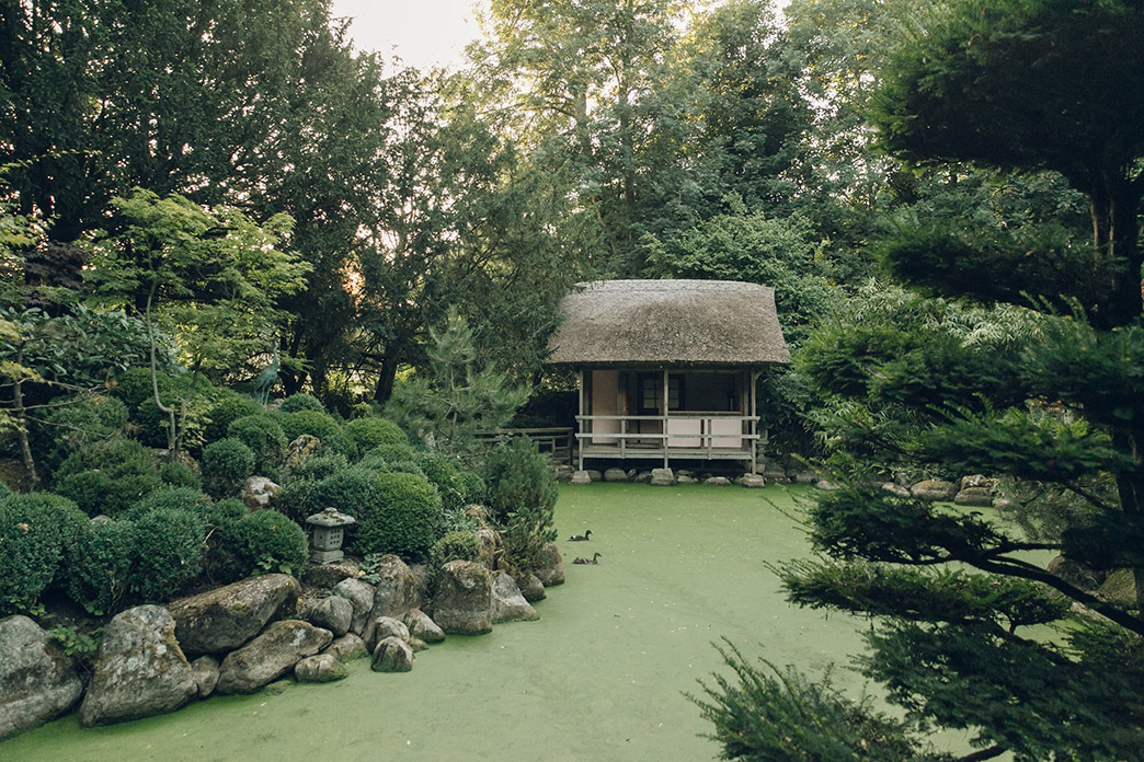 头图-2