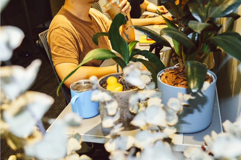 屏幕快照 2019-07-20 下午2.19.23