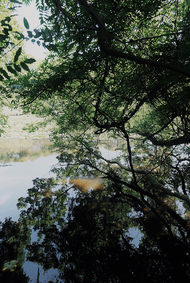 Processed with VSCO with a1 preset