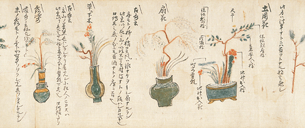 沪江日语 沪江日语