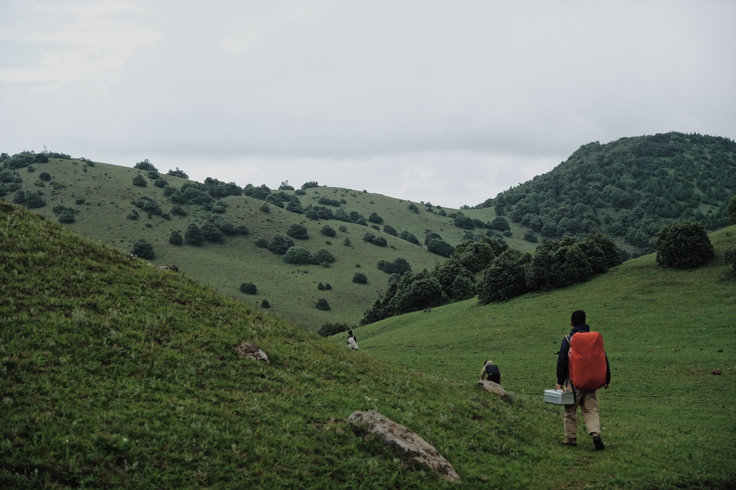 Processed with VSCO with m5 preset