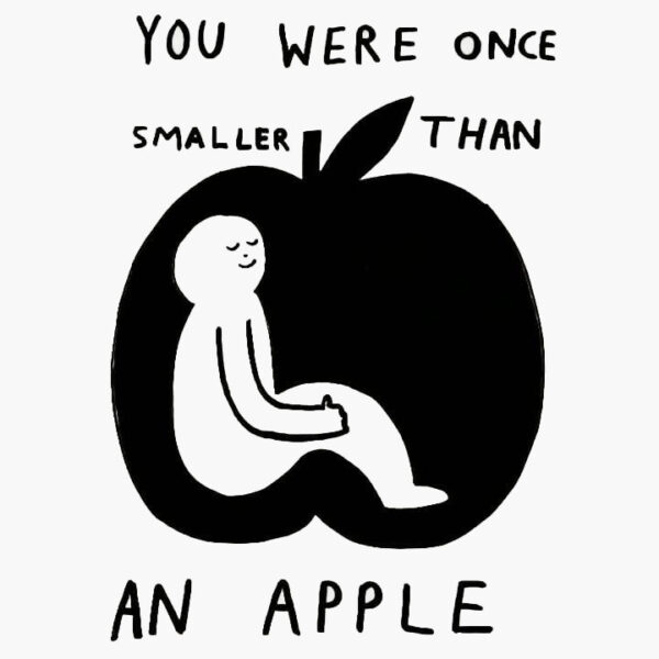 1.1